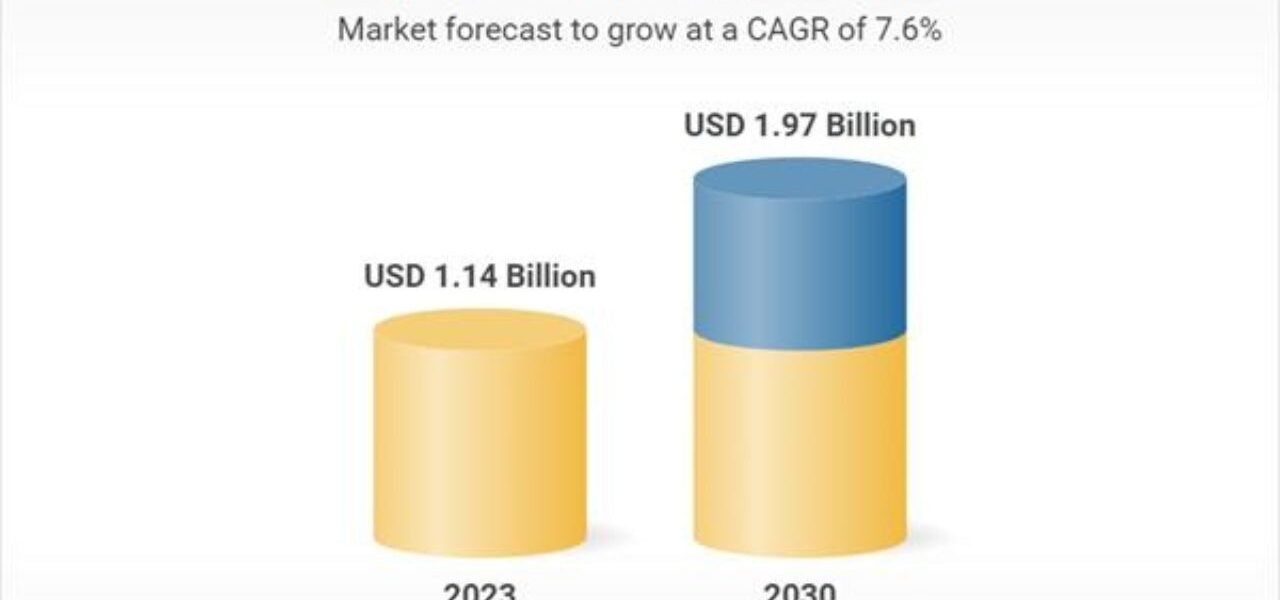 ग्लोबल क्लिनिकल ट्रायल इमेजिंग मार्केट रिपोर्ट 2024-2030 जिसमें प्रमुख खिलाड़ी इक्सीको, नेविटास लाइफ साइंसेज, रेज़ोनेंस हेल्थ, प्रोस्कैन इमेजिंग और मेडपेस शामिल हैं