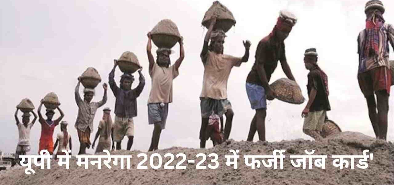 यूपी में मनरेगा 2022-23 में फर्जी जॉब कार्ड' हटाए गए,