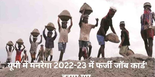 यूपी में मनरेगा 2022-23 में फर्जी जॉब कार्ड' हटाए गए,